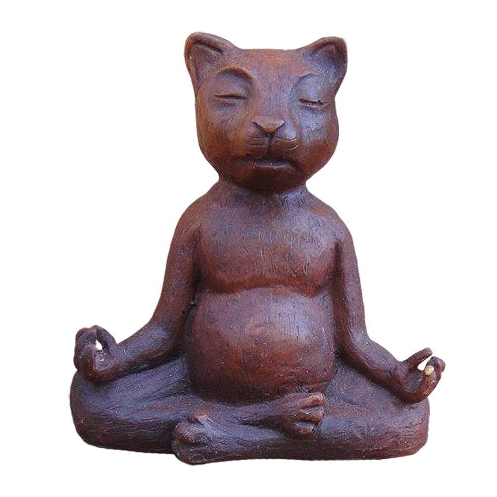 Meditation Cat - Dandelion Lifestyle
