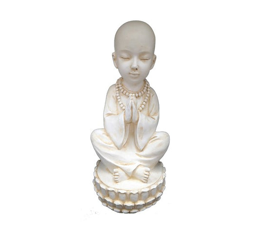 Indian Buddha Meditate - Dandelion Lifestyle