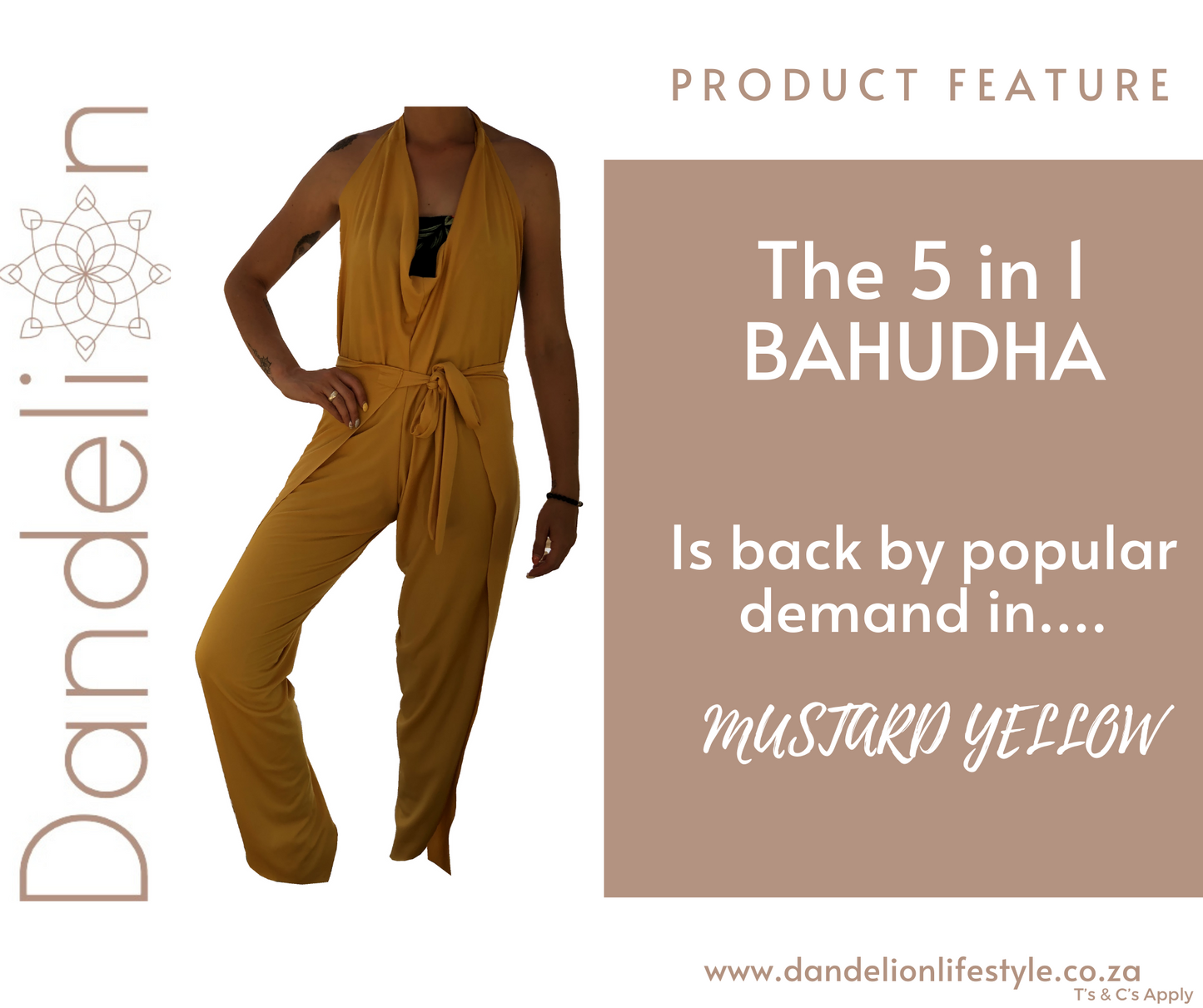 Mustard Bahudha - Dandelion Lifestyle